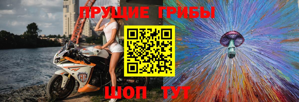 Галлюциногенные грибы GOLDEN TEACHER  Гулькевичи  Галлюциногенные грибы мицелий 